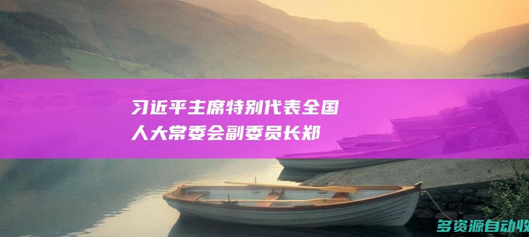习近平主席特别代表全国人大常委会副委员长郑