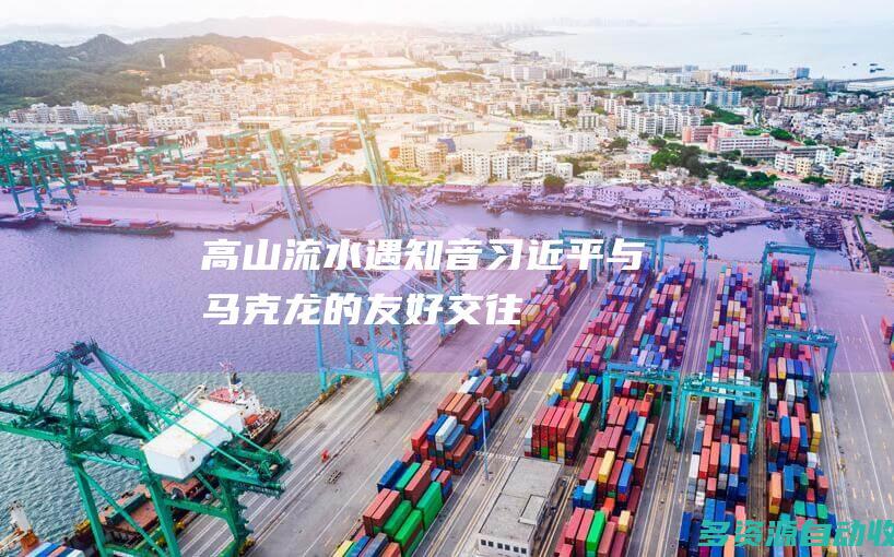 高山流水遇知音——习近平与马克龙的友好交往