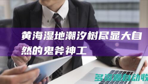 黄海湿地潮汐树尽显大自然的鬼斧神工