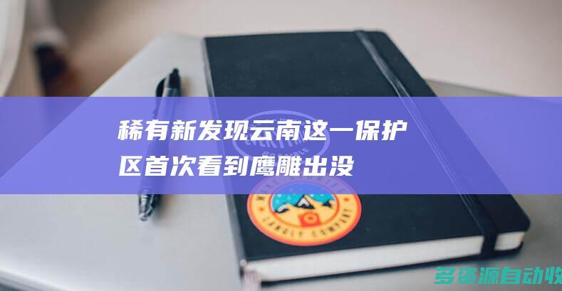 稀有新发现！云南这一保护区首次看到鹰雕出没