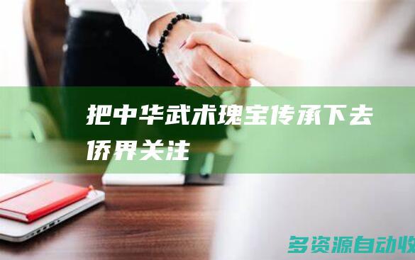 把中华武术瑰宝传承下去（侨界关注）