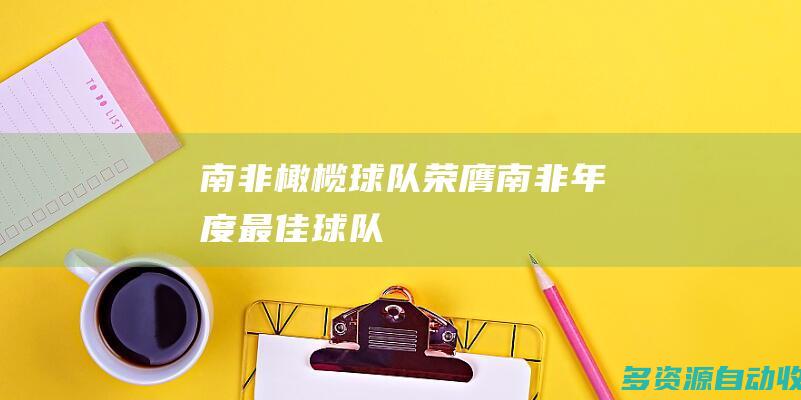 南非橄榄球队荣膺南非年度最佳球队