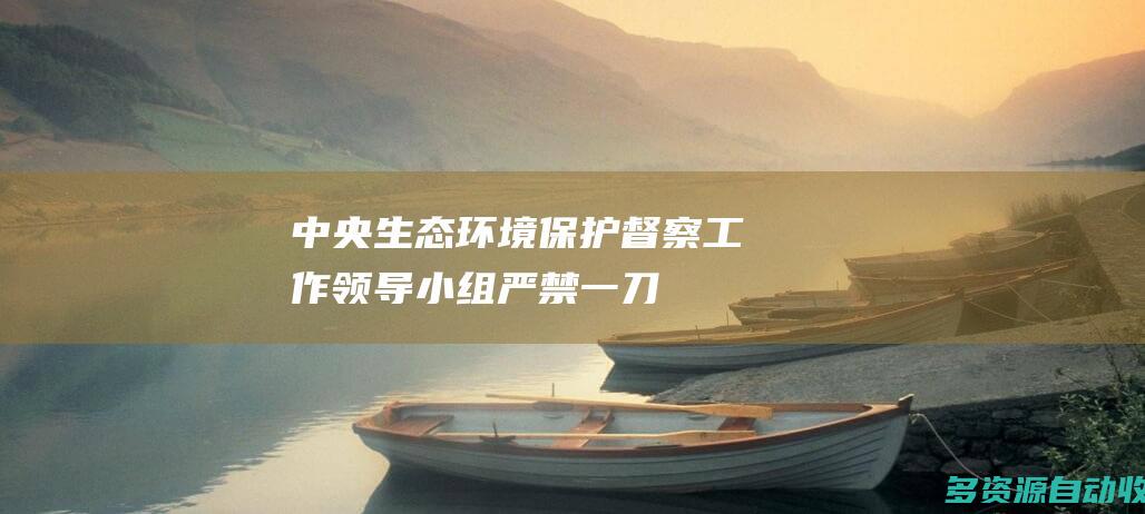 中央生态环境保护督察工作领导小组严禁一刀