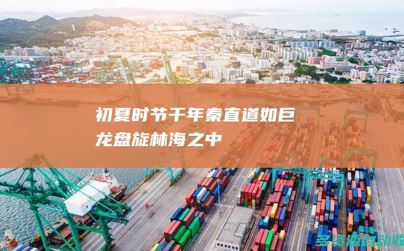 初夏时节 千年秦直道如巨龙盘旋林海之中