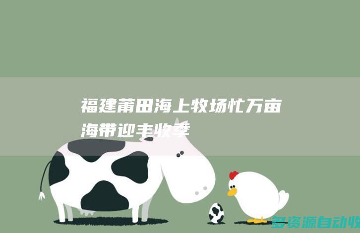 福建莆田：海上牧场忙 万亩海带迎丰收季