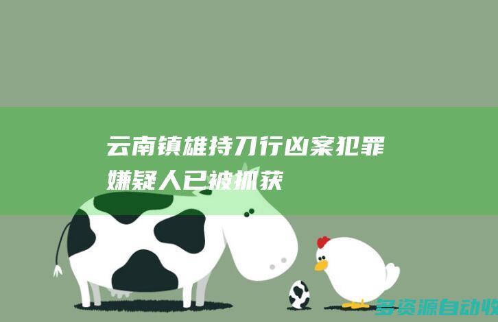 云南镇雄持刀行凶案犯罪嫌疑人已被抓获