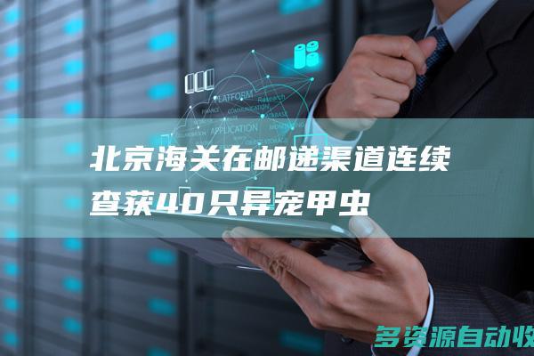北京海关在邮递渠道连续查获40只“异宠”甲虫