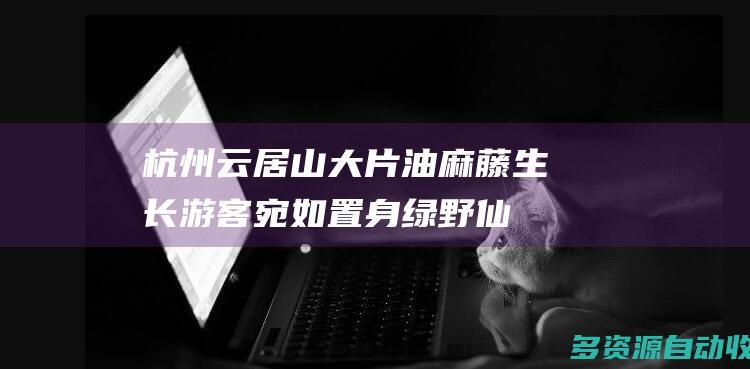 杭州云居山大片油麻藤生长 游客宛如置身“绿野仙踪”
