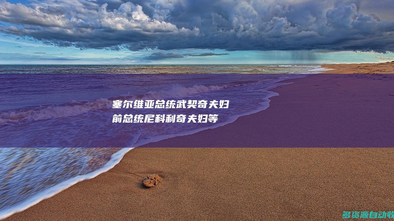 塞尔维亚总统武契奇夫妇、前总统尼科利奇夫妇等在机场迎接习近平主席到访