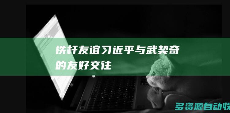 铁杆友谊——习近平与武契奇的友好交往