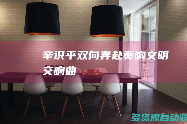 辛识平双向奔赴奏响文明交响曲