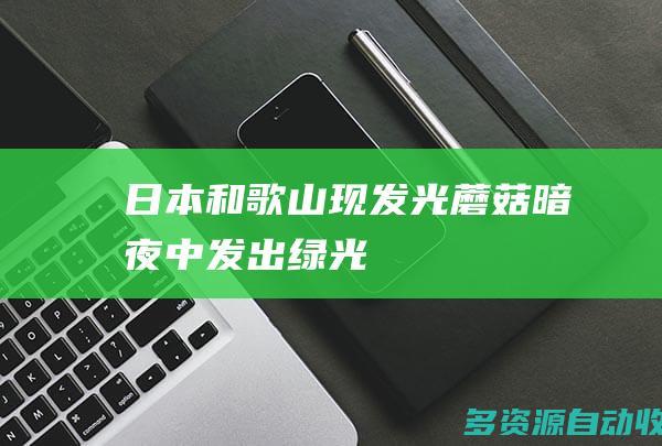 日本和歌山现发光蘑菇暗夜中发出绿光