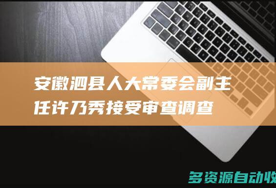安徽泗县人大常委会副主任许乃秀接受审查调查