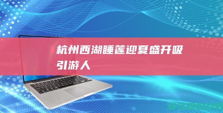 杭州西湖：睡莲迎夏盛开吸引游人