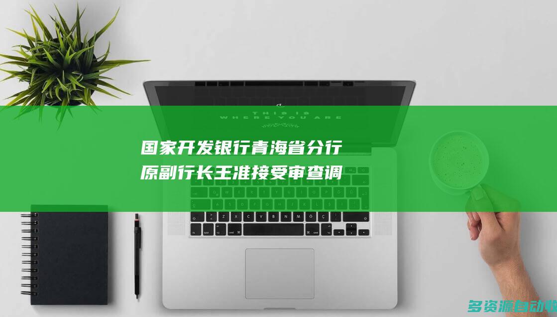 国家开发银行青海省分行原副行长王准接受审查调