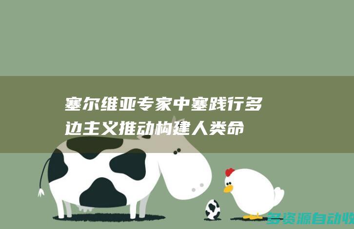 塞尔维亚专家：中塞践行多边主义 推动构建人类命运共同体