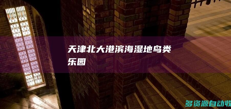 天津北大港滨海湿地鸟类乐园
