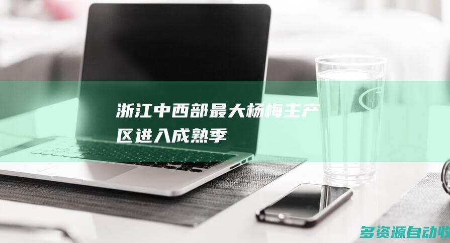 浙江中西部最大杨梅主产区进入成熟季
