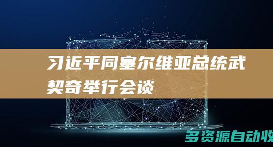 习近平同塞尔维亚总统武契奇举行会谈