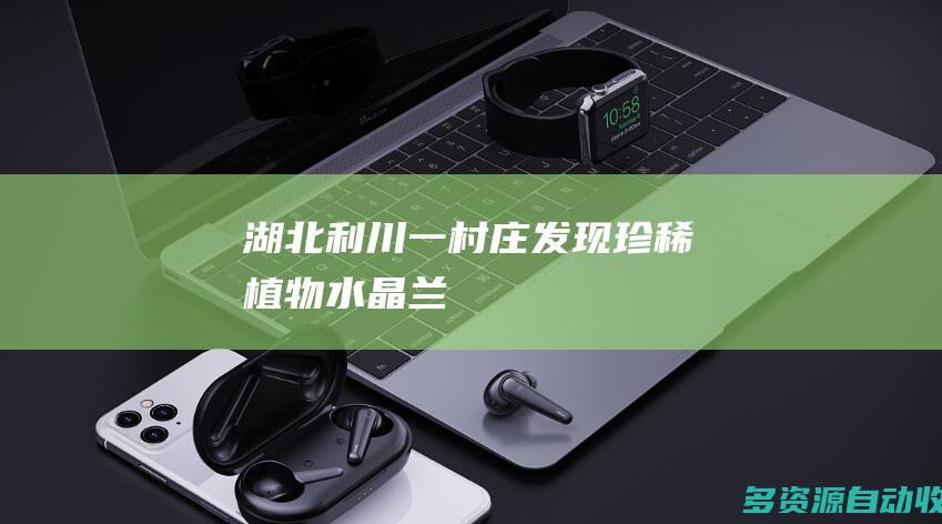 湖北利川一村庄发现珍稀植物水晶兰