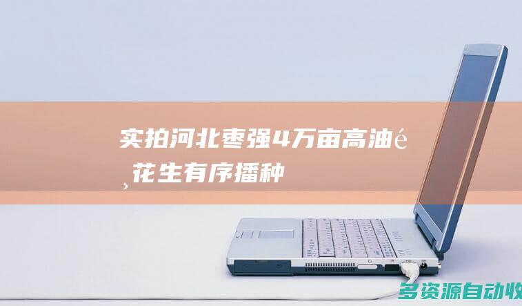 实拍河北枣强4万亩高油酸花生有序播种