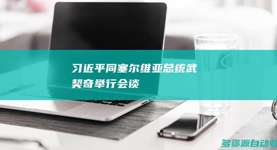 习近平同塞尔维亚总统武契奇举行会谈