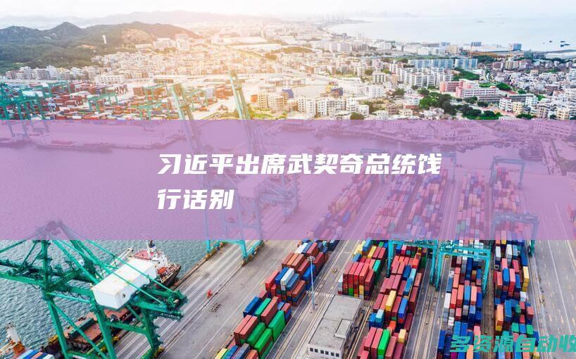 习近平出席武契奇总统饯行话别