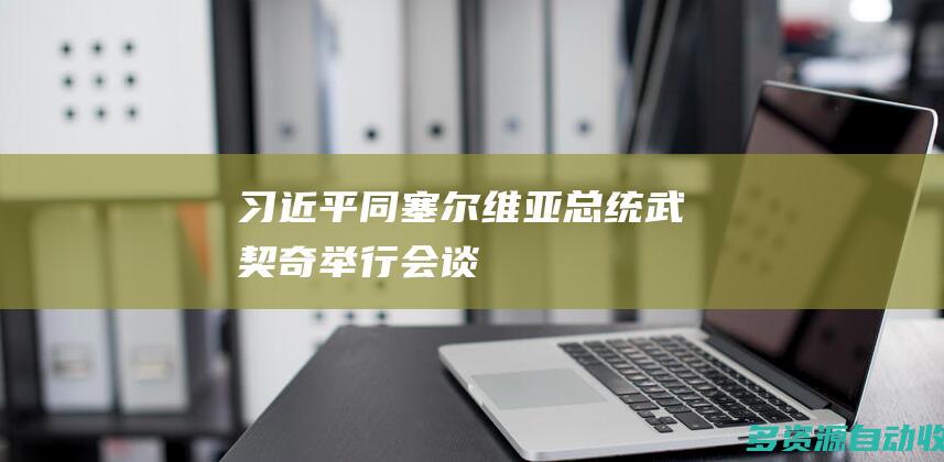 习近平同塞尔维亚总统武契奇举行会谈