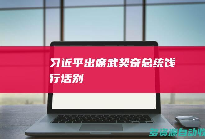 习近平出席武契奇总统饯行话别