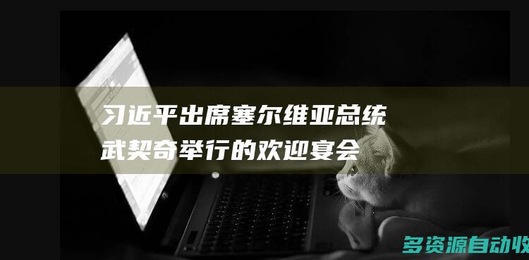 习近平出席塞尔维亚总统武契奇举行的欢迎宴会