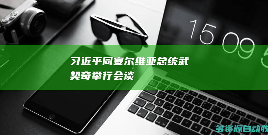 习近平同塞尔维亚总统武契奇举行会谈