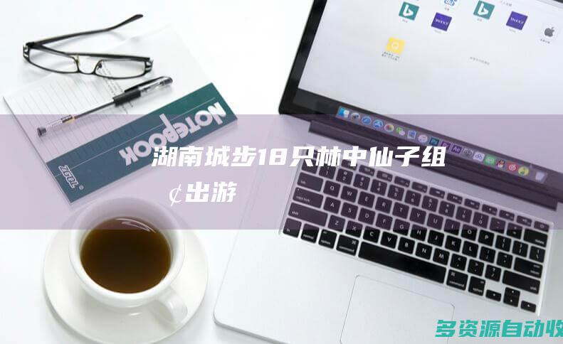 湖南城步18只林中仙子组团出游
