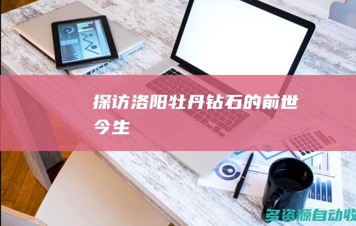 探访洛阳牡丹钻石的“前世今生”