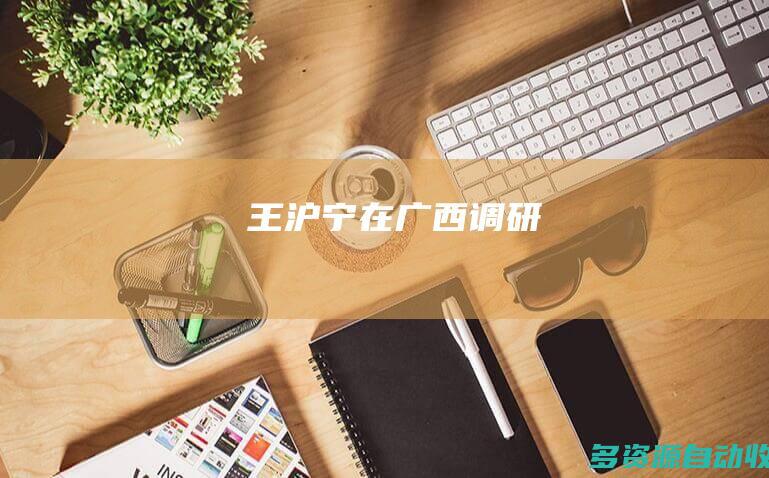 王沪宁在广西调研