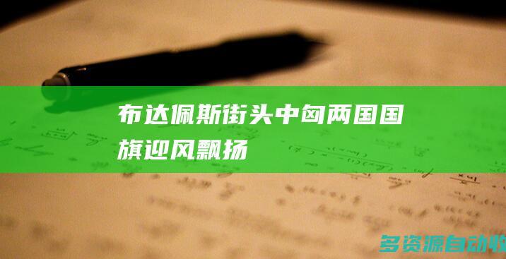 布达佩斯街头中匈两国国旗迎风飘扬