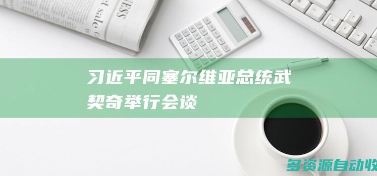 习近平同塞尔维亚总统武契奇举行会谈