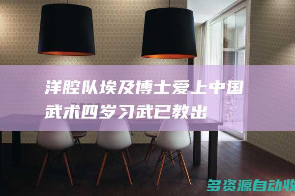洋腔队埃及博士爱上中国武术四岁习武已教出