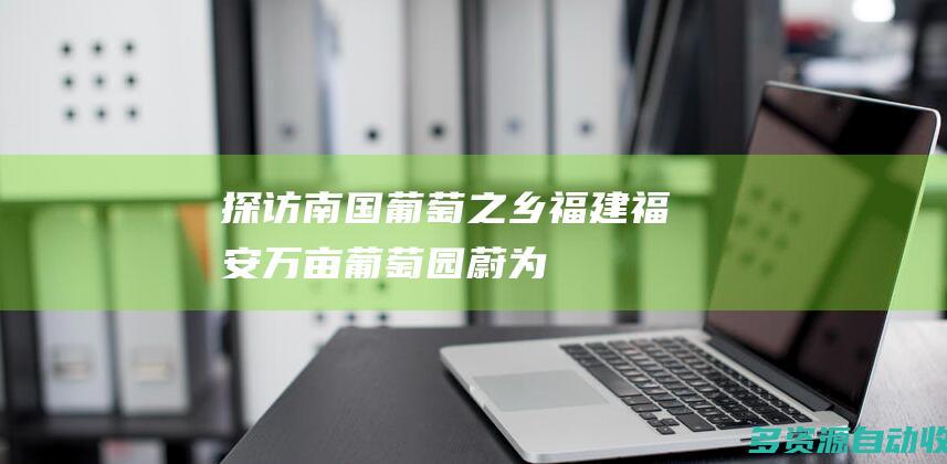探访“南国葡萄之乡”福建福安：万亩葡萄园蔚为壮观