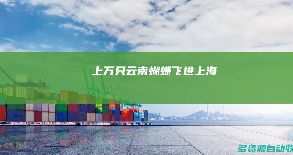 上万只云南蝴蝶飞进上海