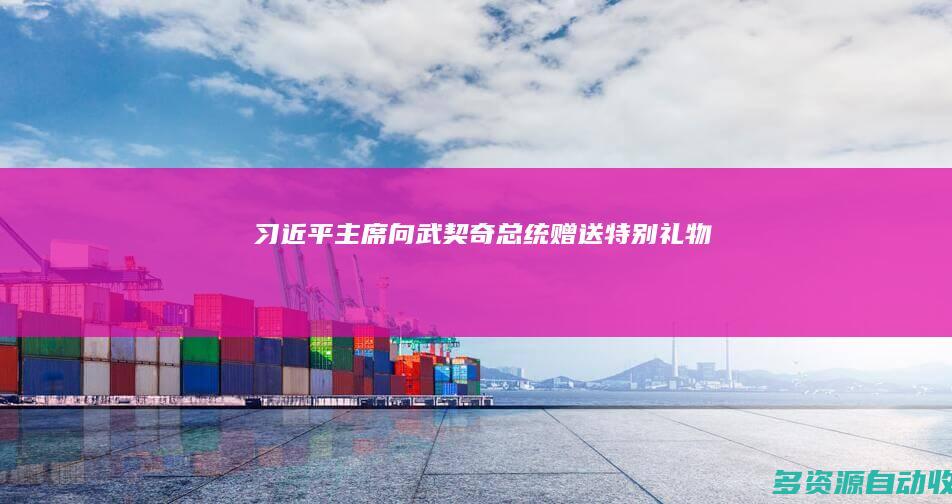 习近平主席向武契奇总统赠送“特别礼物”