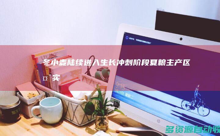 冬小麦陆续进入生长“冲刺”阶段 夏粮主产区夯实丰收基础