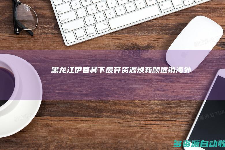 黑龙江伊春：林下废弃资源“焕新颜” 远销海外