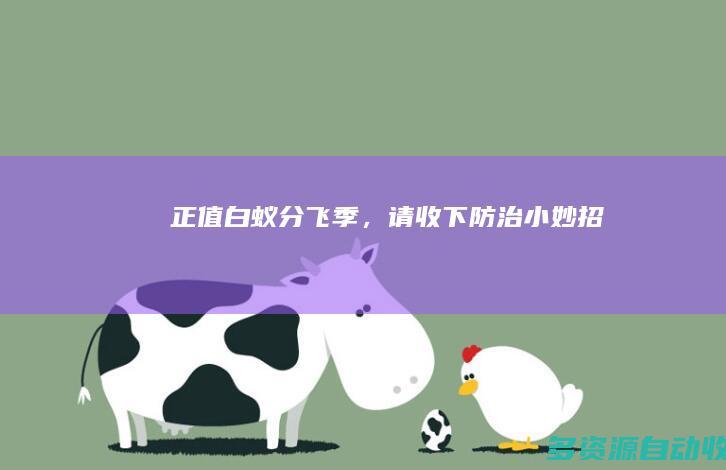 正值白蚁分飞季，请收下防治小妙招