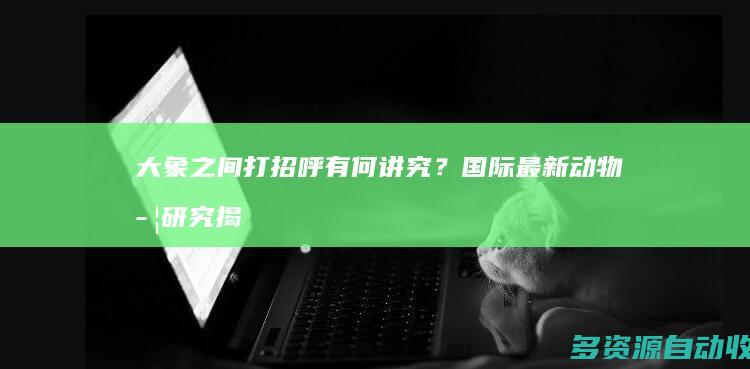 大象之间打招呼有何讲究？国际最新动物学研究揭秘