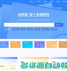 发现报告