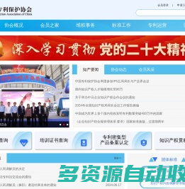 中国专利保护协会